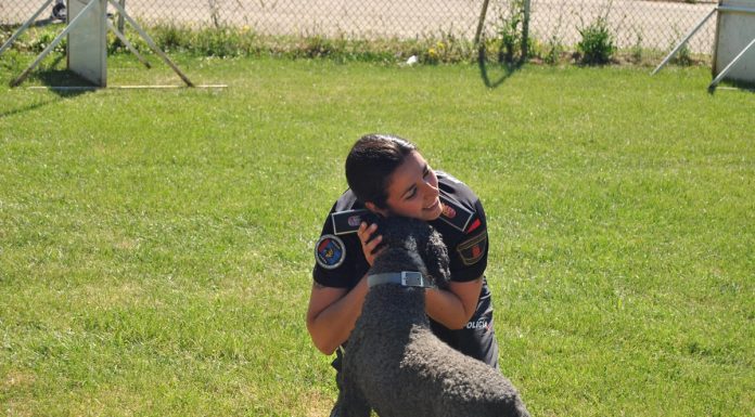 Finaliza la campaña intensa de vigilancia de la Policía en Móstoles