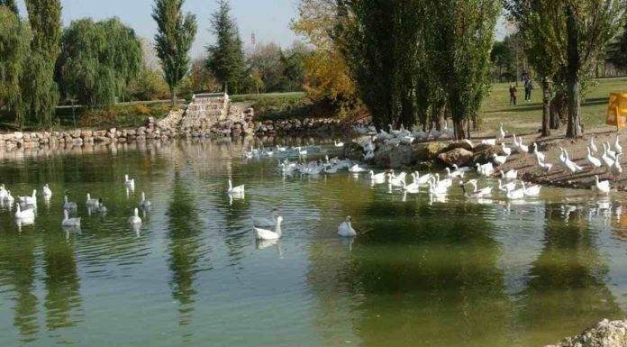 El Parque Natural El Soto de Móstoles con embarcadero y zona multiaventuras