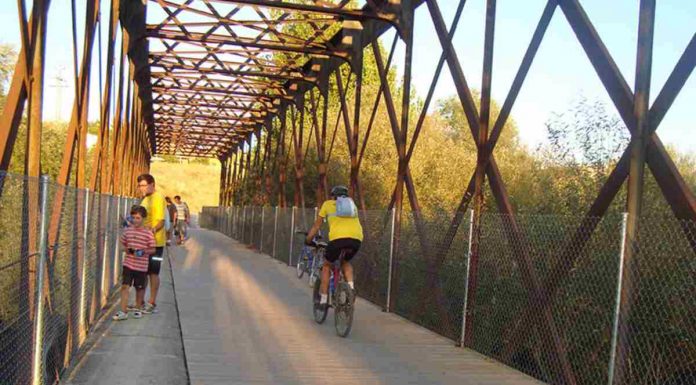 Este sábado plantación popular en la Vía Verde de Móstoles