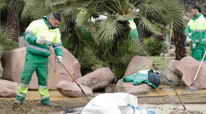 Personas con diversidad funcional cuidarán las zonas verdes de Móstoles