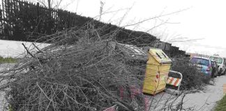 Lucha en Móstoles contra los restos de poda en la vía pública