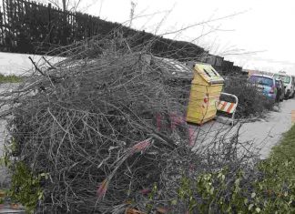 Lucha en Móstoles contra los restos de poda en la vía pública