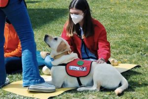 La Universidad Rey Juan Carlos de Móstoles inicia intervenciones asistidas con perros para reducir el estrés