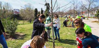 Móstoles conmemorada el Día del Árbol con los más pequeños