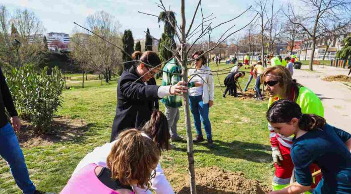 Móstoles conmemorada el Día del Árbol con los más pequeños