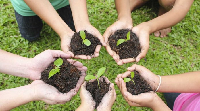 Móstoles organiza talleres medioambientales durante todo el mes de marzo