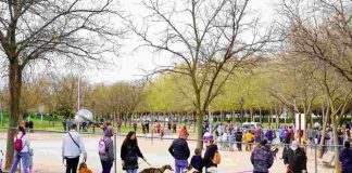 Un centenar de perros estrenan el Agility del parque de Los Planetas de Móstoles