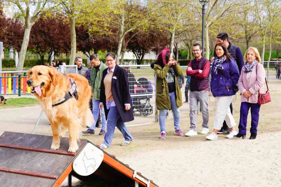 Un centenar de perros estrenan el Agility del parque de Los Planetas de Móstoles