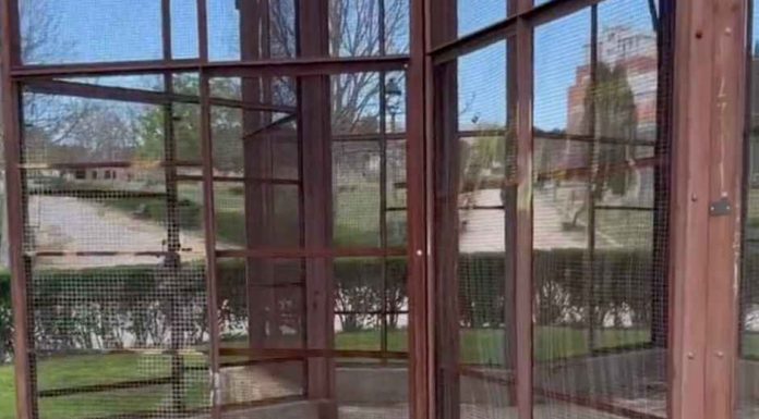 El PP de Móstoles considera que la situación del parque Prado Ovejero es de abandono y dejadez