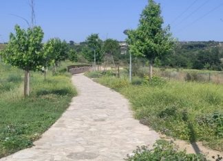 El Gobierno de Móstoles refuerza el desbroce para evitar incendios