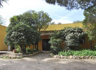 Nuevos talleres medioambientales en Móstoles para julio