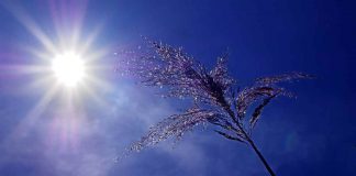 Calor asfixiante en Móstoles durante los próximos días