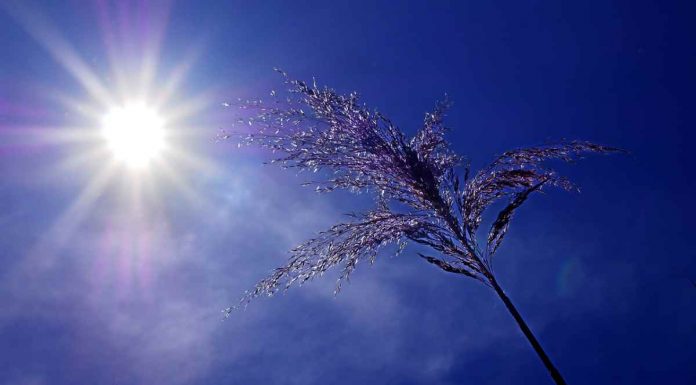 Calor asfixiante en Móstoles durante los próximos días