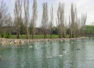 Los vecinos de Móstoles denuncian la aparición de residuos y ratas en El Soto