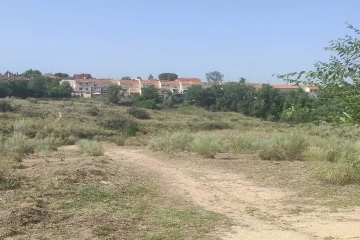 El Ayuntamiento de Móstoles prepara un plan para reducir incendios en Parque Coimbra