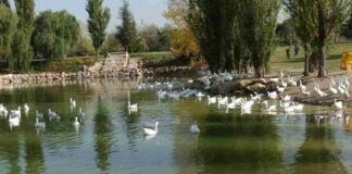 Taller de fotografía de naturaleza en El Soto de Móstoles
