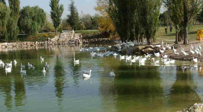 Taller de fotografía de naturaleza en El Soto de Móstoles