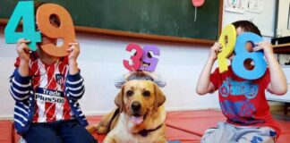 Un alumno muy especial en el aula de infantil del CEIP Alonso Cano de Móstoles