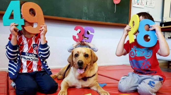 Un alumno muy especial en el aula de infantil del CEIP Alonso Cano de Móstoles