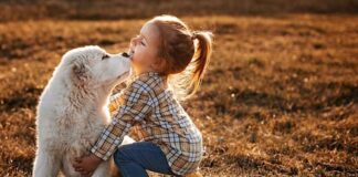 Niños de Móstoles mejoran las habilidades de lectura con ayuda de perros de apoyo adiestrados