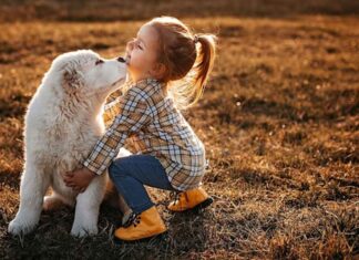Niños de Móstoles mejoran las habilidades de lectura con ayuda de perros de apoyo adiestrados