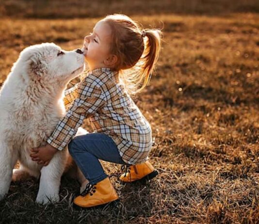 Niños de Móstoles mejoran las habilidades de lectura con ayuda de perros de apoyo adiestrados