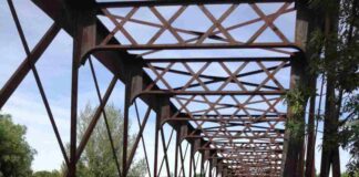 Móstoles plantará más de medio millar de árboles en la Vía Verde