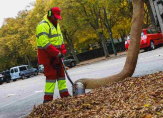 Recogiendo el otoño de las calles de Móstoles
