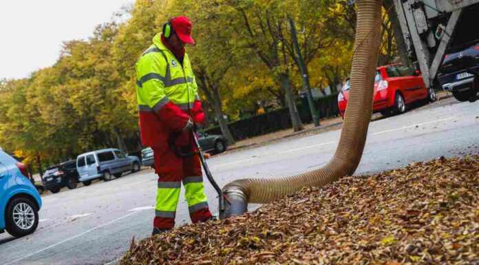 Recogiendo el otoño de las calles de Móstoles