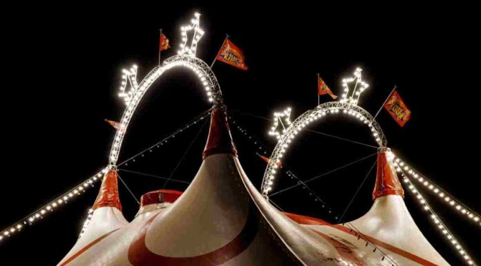 Campamentos Culturales desde el 26 de diciembre en Móstoles