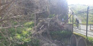 Los vecinos de Móstoles, preocupados por riesgo de derrumbe de un puente