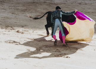 Móstoles volverá a tener corridas de toros casi una década después