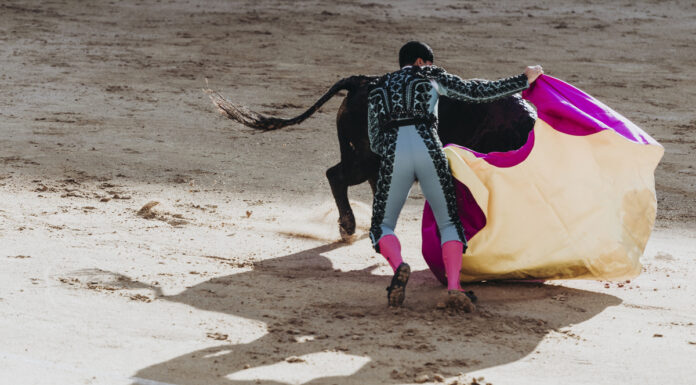 Móstoles volverá a tener corridas de toros casi una década después