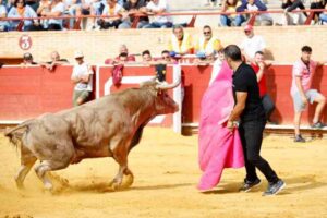 Piden un referéndum sobre el retorno de las corridas de toros a Móstoles