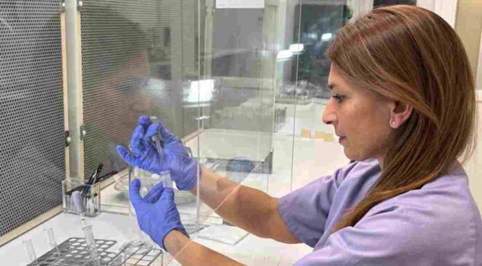 El Hospital Universitario de Móstoles referente en estudios genéticos