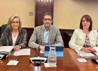 Vox Móstoles quiere impulsar un servicio de información sobre el amianto a los mostoleños