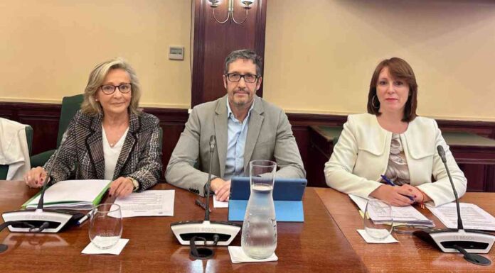 Vox Móstoles quiere impulsar un servicio de información sobre el amianto a los mostoleños