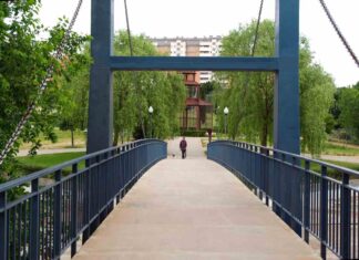 Micología o rutas entre las actividades medioambientales de Móstoles