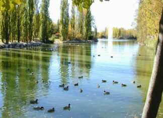 Talleres medioambientales en Móstoles en el Río Guadarrama