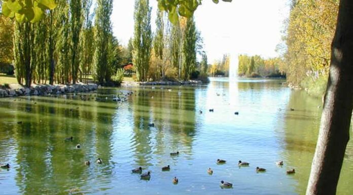 Talleres medioambientales en Móstoles en el Río Guadarrama