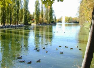 Planes y Agenda de Ocio de Móstoles del 5 al 7 de abril de 2024