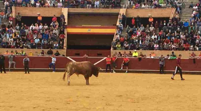 Los toros en el centro del debate político en Móstoles