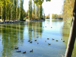 Planes y Agenda de Ocio de Móstoles del 24 al 26 de mayo de 2024