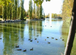 Planes y Agenda de Ocio de Móstoles del 24 al 26 de mayo de 2024