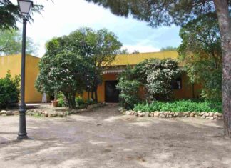 Natuexploradores este verano en Móstoles