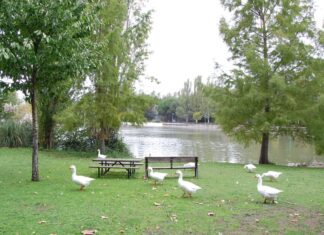 Planes y Agenda de Ocio de Móstoles del 10 al 12 de mayo de 2024