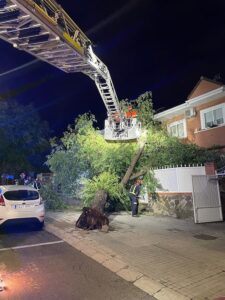 Los bomberos alertan de la caída de árboles y ramas en Móstoles