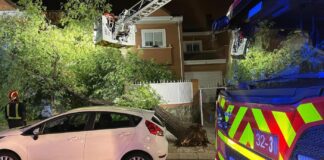 Los bomberos alertan de la caída de árboles y ramas en Móstoles