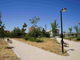 ¿Quién anda ahí? Móstoles: Renacuajos y amapolas