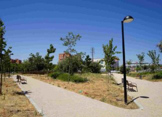 ¿Quién anda ahí? Móstoles: Renacuajos y amapolas